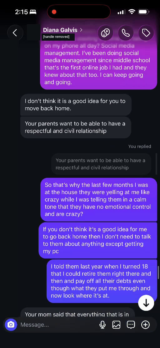 E03 screenshot from the conversation Lucas identifies as being with Diana Galvis Patino: Remembering online work since middle school